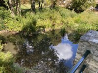 IMG_3601.jpeg