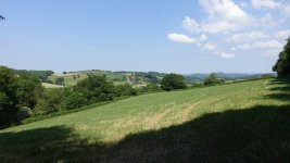 DSC03470.JPG