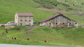 IMG_0470.JPG