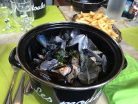 IMG_1598.jpeg IMG_1598.jpeg