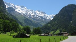 IMG_0524.JPG