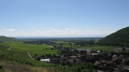 IMG_0570.JPG