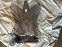 IMG_3740.jpeg