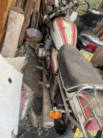 IMG_4325.jpeg