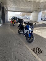 IMG_6660.JPEG