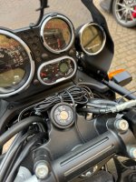 IMG_4136.jpeg