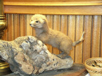 DSCN3396A.jpg