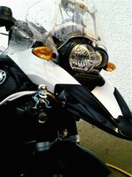 GSA crazy frog 2 (Small).jpg