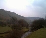 view from tent.jpg