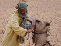 camel man.JPG