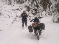 46200464-M.jpg