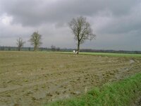 10.jpg (Small).JPG