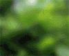 girraffe.gif