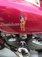 IMG_2578.jpeg
