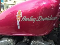 IMG_2579.jpeg