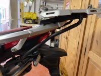 IMG_2461.jpeg