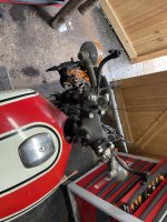 IMG_4356.jpeg