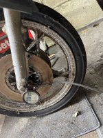 IMG_4357.jpeg