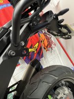IMG_2935.jpeg