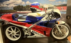 IMG_2700.jpeg