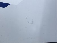 IMG_1826.jpeg