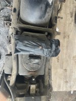 IMG_4361.jpeg IMG_4361.jpeg