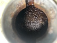 IMG_4366.jpeg IMG_4366.jpeg