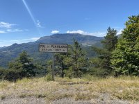IMG_3661.jpeg