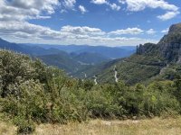 IMG_3695.jpeg