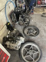 IMG_4379.jpeg