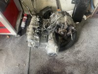 IMG_4378.jpeg