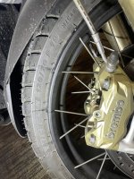 IMG_3164.jpeg