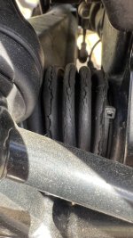 IMG_1524.jpeg