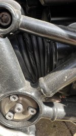 IMG_1525.jpeg