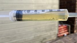 IMG_1528.jpeg