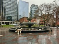 image11.jpeg