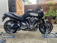 IMG_2082.jpeg