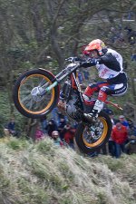 _MG_4718_edited-1.jpg