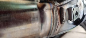 IMG_4800.jpeg