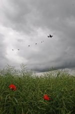 NOR-2.jpg