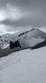 IMG_8124.jpeg