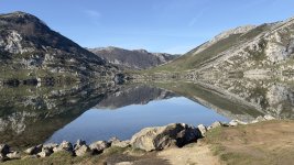 IMG_8287.jpeg