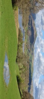 IMG_4834.jpeg