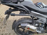 IMG_9736.jpeg