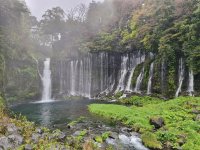 shiraito falls.jpg