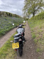 IMG_6694.jpeg