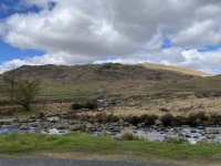 IMG_6571.jpeg IMG_6571.jpeg