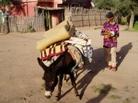 laden donkey.JPG