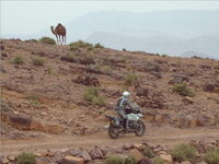 IMG00091crop.jpg