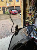 IMG_4795.jpeg IMG_4795.jpeg